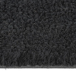 Avis vidaXL Tapis de porte noir 50x80 cm fibre de coco touffeté