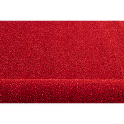 RUGSX GAZON SYNTHÉTIQUE SPRING rouge dimensions standards 100x100 cm