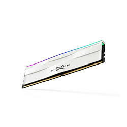 Silicon-Power Mémoire RAM Silicon Power SP032GXLWU60AFDH 32 GB DDR5 6000 MHz cl30