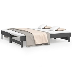 vidaXL Lit coulissant sans matelas gris 2x(90x190) cm