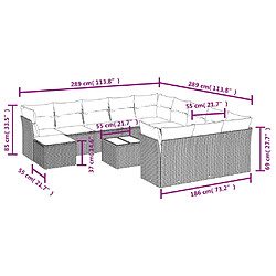 Avis vidaXL Salon de jardin avec coussins 13 pcs marron résine tressée