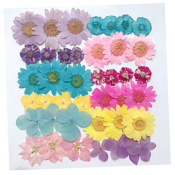 Fleurs Séchées Naturelles Scrapbooking Embellissements Artisanat Pour Décors D'art D'ongle pas cher