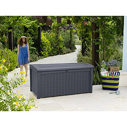 Avis Keter Coffre de rangement de jardin Borneo 416 L