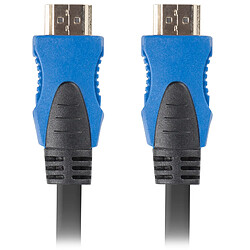 Câble vidéo HDMI-A mâle 2.0 4K Lanberg 3m