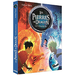 Les pierres de dragon. Vol. 1. La métamorphose