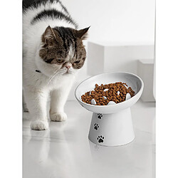 YYHY Bol pour Chat en céramique de 15cm/118ml avec Alimentation Lente,Bol de Nourriture pour Chat Gamelle à Alimentation Lente surélevée pour Chiens Bol pour Chat Anti-Vomiting,Blanc pas cher