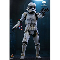 Acheter Hot Toys TMS011 - Star Wars - The Mandalorian - Remnant Stormtrooper