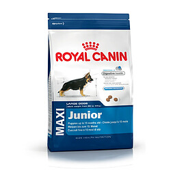 Royal Canin Chien Maxi Puppy