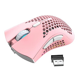 Souris De Jeu Sans Fil 2.4G Souris De Souris En Nid D'abeille RVB Pour Gamer Office Rose