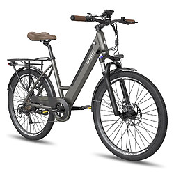 Avis Honey Whale FAFREES F26 Pro 14.5AH Vélo Électrique - Moteur 250W Batterie 36V14.5AH Assisted Autonomie 110KM Frein à Disque Mécanique - Gris