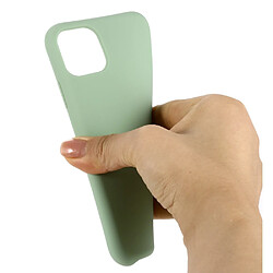 Acheter Wewoo Coque Souple Pour iPhone 11 antichoc en silicone liquide de couleur solide vert menthe