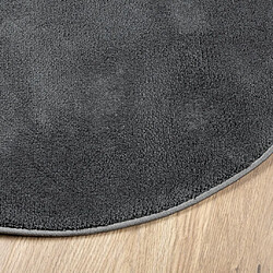 Avis vidaXL Tapis OVIEDO à poils courts anthracite Ø 120 cm