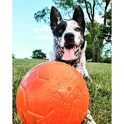 Avis Jolly Pets Ballon de Foot de 20,3 cm