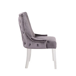 Acheter Vivenla Lot de 2 Chaises de salle à manger design avec capitonnage à l'arriere revêtement en velours gris foncé et piètement en acier inoxydable argenté collection LEO