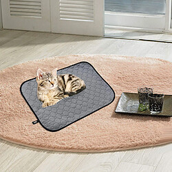 Acheter Tapis de litière de chat