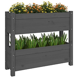 Acheter Maison Chic Jardinière,Bac à fleurs - pot de fleur Gris 77x25x66 cm Bois massif de pin -GKD87379