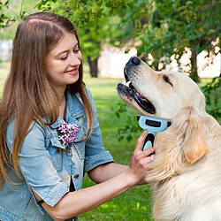 Acheter chiens chats cheveux rasoir rasoir épaisse cheveux noeud enchevêtrement groomimg bleu - s