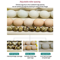 Acheter Incubateur Automatique D'oeufs De Poulet 42/56 Oeufs éclosoir 56Eggs 9Rods