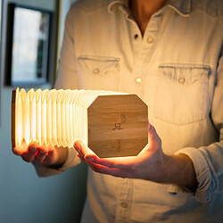 Lampe Smart Accordion