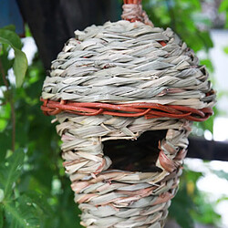 Acheter 2x Grotte De Reproduction De Maison De Nid D'oiseau Canari D'herbe Tissée à La Main Pour Les CANARIES