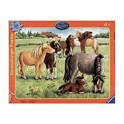 Puzzle cadre 30 48 pièces Ravensburger Modèle aléatoire