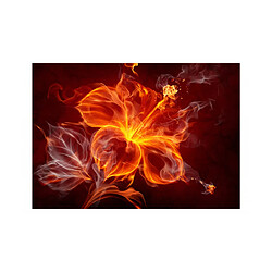 Artgeist Papier peint - Fiery flower [350x245]