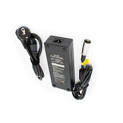 vhbw 220V Chargeur d'alimentation 70W pour e-Bike, Pedelec, vélo électrique Batteries avec connecteur 3Pin-XLR.