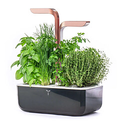 Avis Potager Véritable Smart Black/Copper