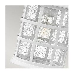 Acheter Elstead Lighting Applique murale extérieur Hinkley Verre à graines transparent,composite résistant aux intempéries, Blanc texturé