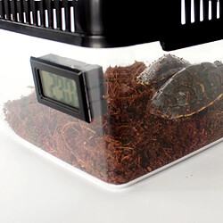 reptile vivarium terrarium pas cher