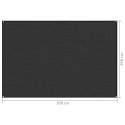 Acheter vidaXL Tapis de tente 200x300 cm Anthracite