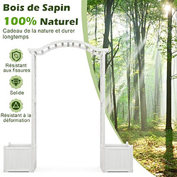 Helloshop26 Arche de jardin avec jardinière en bois avec treillis pergola extérieur pour plantes grimpantes légumes décoration blanc 20_0001636