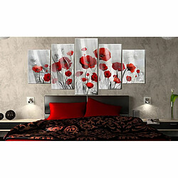 Paris Prix Tableau sur Verre Acrylique Scarlet Cloud 100 x 200 cm