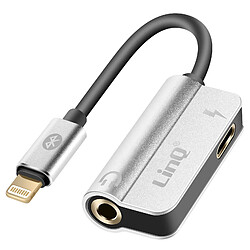 LinQ Câble adaptateur Charge + Audio pour iPhone Argent