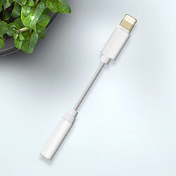 Avizar Adaptateur audio iPhone Lightning mâle vers Jack 3.5mm femelle Blanc pas cher