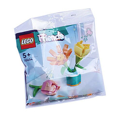 LEGO LEGO Friends Polybag-Freundschaftsblumen PolybagFreundschaftsblumen Bausatz