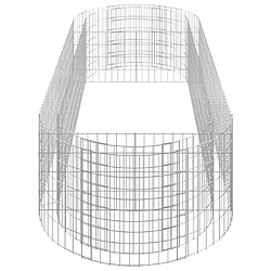 Acheter vidaXL Lit surélevé à gabion Fer galvanisé 300x100x50 cm