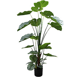 Plante décorative Alexandra House Living Plastique Calathea 150 cm