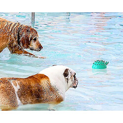 Avis Jouet électrique pour chien Summer, jouet piscine flottante pour chien (bleu)