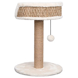 Acheter Helloshop26 Arbre à chat meuble tour grimper jouet grattage grattoir escalade plateforme avec griffoirs 49 cm herbiers marins Beige 02_0022447