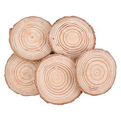 5 Pcs Non Peint Naturel Bois Tranches Puces Rondes Rondin Disque Pour DIY Artisanat 9-10 Cm