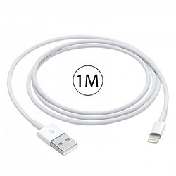 Avis Câble de Charge et de Synchronisation Lightning Mâle à 8 Broches - USB A Mâle 1,0 m Blanc