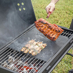 Accessoires barbecue Iceberg