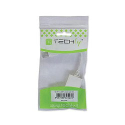 Techly Adaptateur DisplayPort mâle sur HDMI femelle, blanc, 15cm pas cher