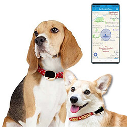 Wewoo Traceur GPS RF-V43 IP67 étanche GPS + LBS + WiFi Animaux Localisation Collier Tracking Device Or