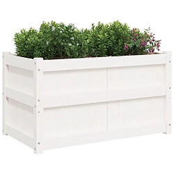 Acheter Maison Chic Lot de 2 Jardinières,Bac à fleurs - pot de fleur blanc bois de pin massif -GKD37034