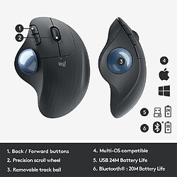 Avis Universal M570 Wireless Trackball Mouse Drawing Mouse Support Office Test de bureau avec récepteur USB 1000dpi pour