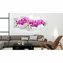 Paris Prix Tableau Imprimé Abstract Garden : Pink Orchids 100 x 200 cm