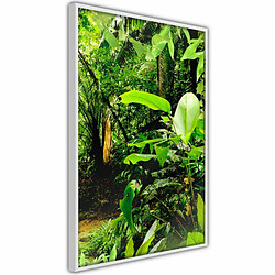 Paris Prix Affiche Murale Encadrée In the Rainforest 30 x 45 cm Blanc