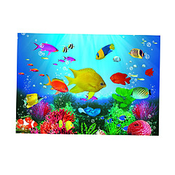 Acheter Aquarium 3D Fond Autocollant Décoration De Mur De Réservoir